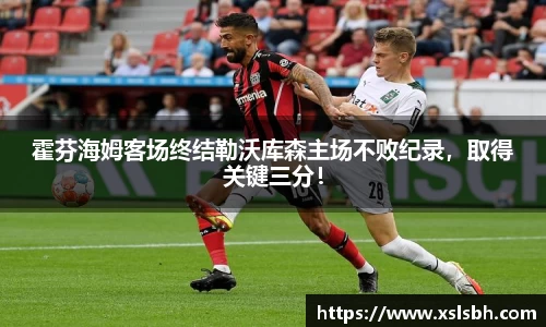 yy体育