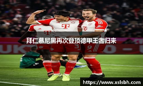 yy易游