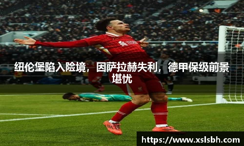 yy易游体育