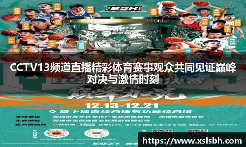 CCTV13频道直播精彩体育赛事观众共同见证巅峰对决与激情时刻