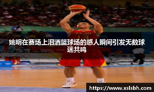 yy易游体育