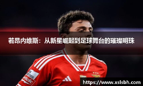 yy易游