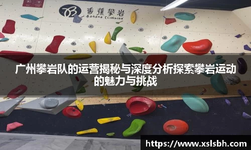 广州攀岩队的运营揭秘与深度分析探索攀岩运动的魅力与挑战